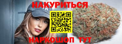молекула духа Будённовск