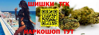 молекула духа Будённовск