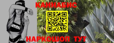 молекула духа Будённовск